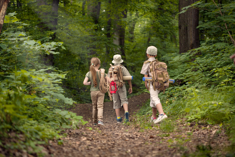 Sending the Kids to Day Camp May Bring a Tax Break