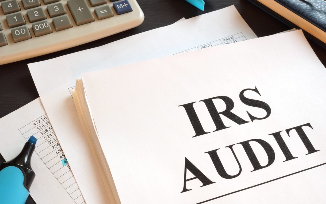 Want to Find Out What IRS Auditors Know About Your Industry?